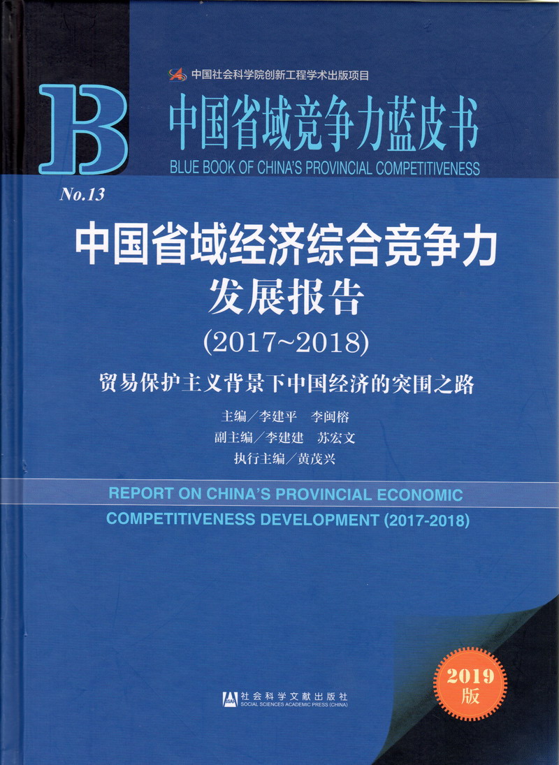 骚逼网站大鸡巴插中国省域经济综合竞争力发展报告（2017-2018）