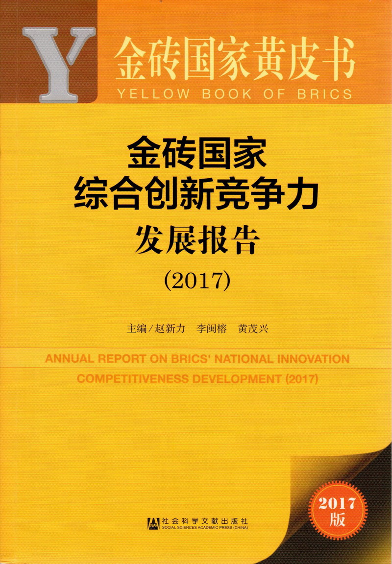 逼特逼.com金砖国家综合创新竞争力发展报告（2017）